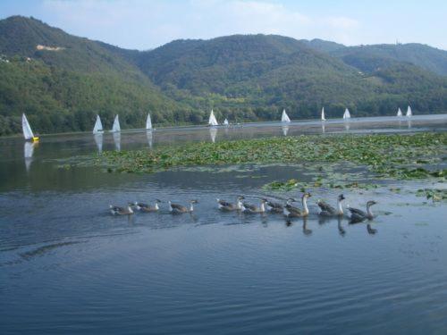 Отель Colli Berici