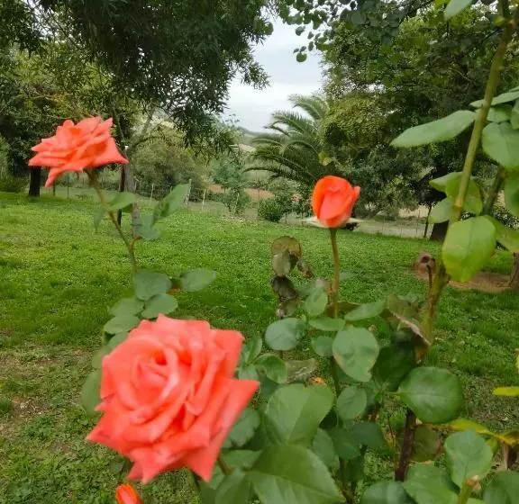 Hotelli Agriturismo Da Remo