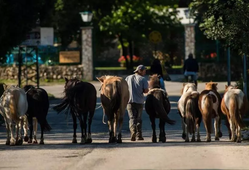 ホテル Agriturismo Maneggio Vallecupa