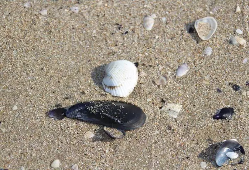 ペンション Casa Vacanza Gioia