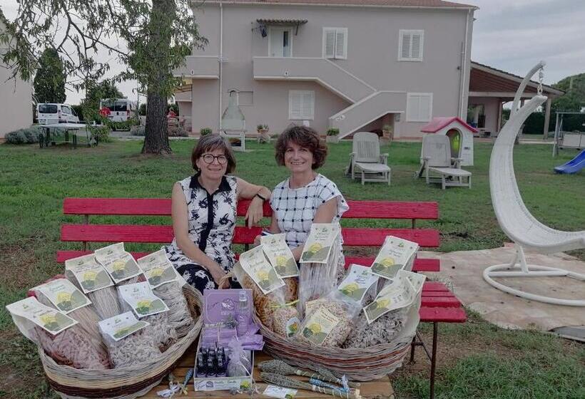 בית מלון כפרי Agriturismo Susanna E Atria