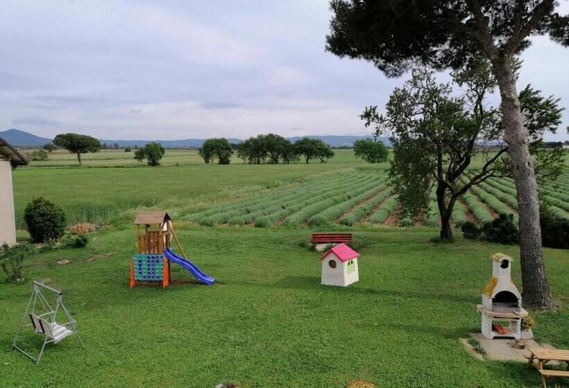 בית מלון כפרי Agriturismo Susanna E Atria