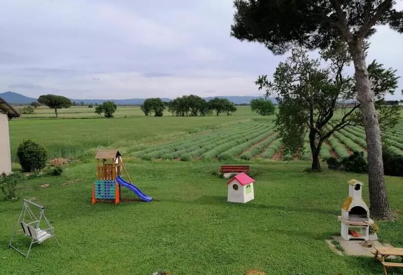 ホテル Agriturismo Susanna E Atria