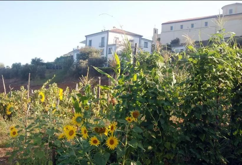 ホテル Villa Cirimarco