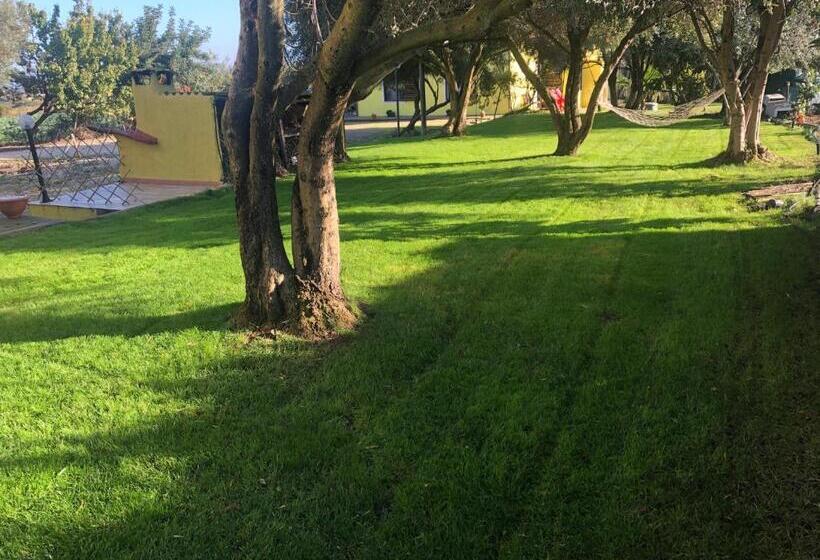 פנסיון Il Ginepro