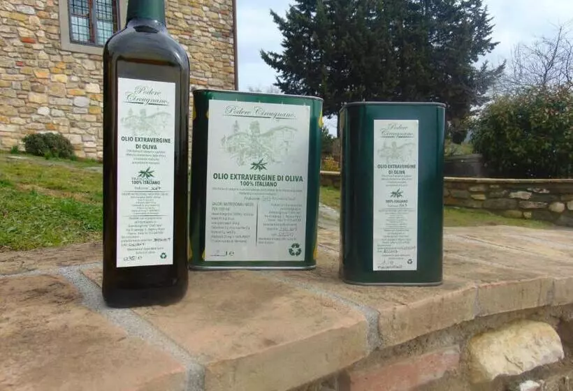 ホテル Agriturismo Circugnano