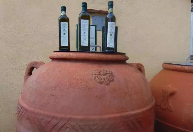 ホテル Agriturismo Circugnano