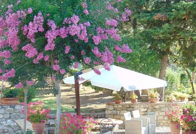 ホテル Agriturismo Circugnano