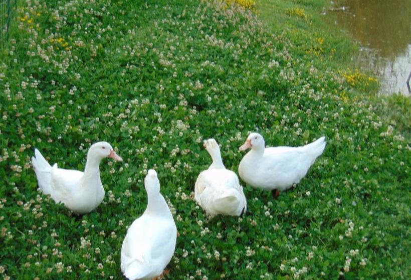 فندق Agriturismo Circugnano