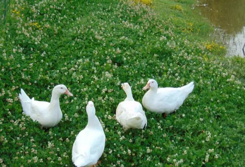 ホテル Agriturismo Circugnano