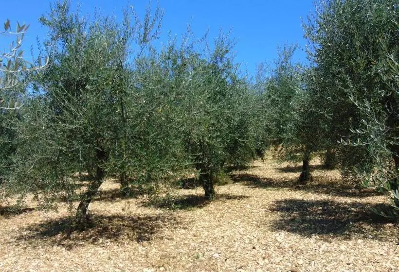 ホテル Agriturismo Circugnano