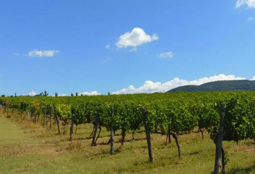 ホテル Agriturismo Circugnano
