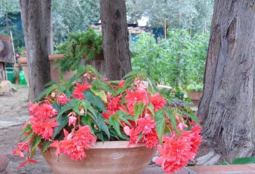 ホテル Agriturismo Circugnano