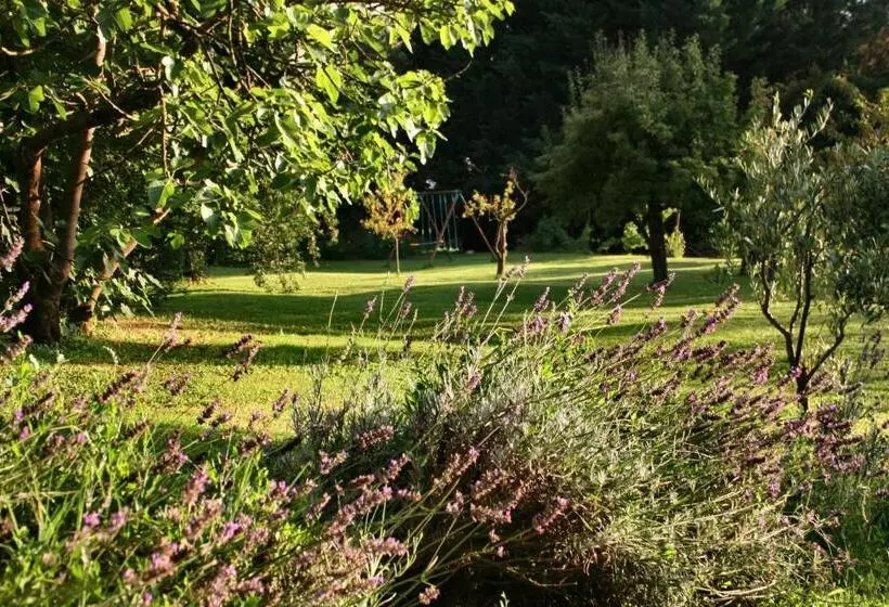 ホテル Agriturismo Poggio Salvi