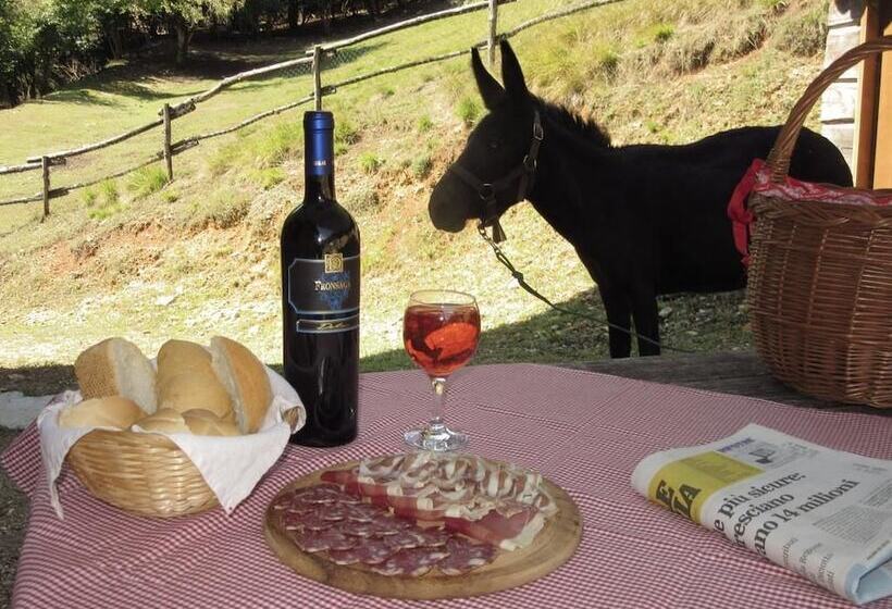 酒店 Agriturismo Agrimon