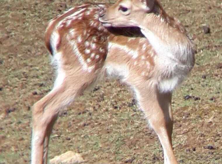 酒店 Agriturismo Agrimon