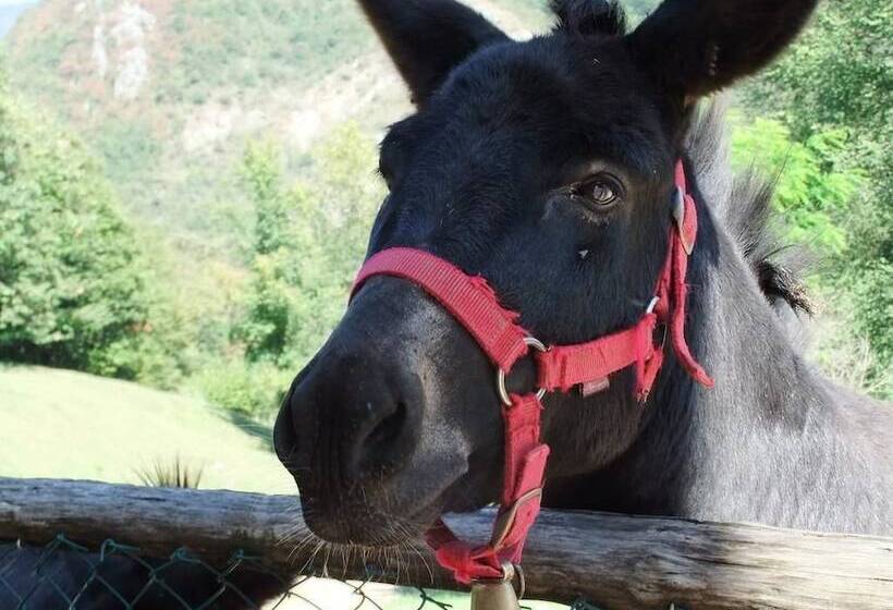 酒店 Agriturismo Agrimon