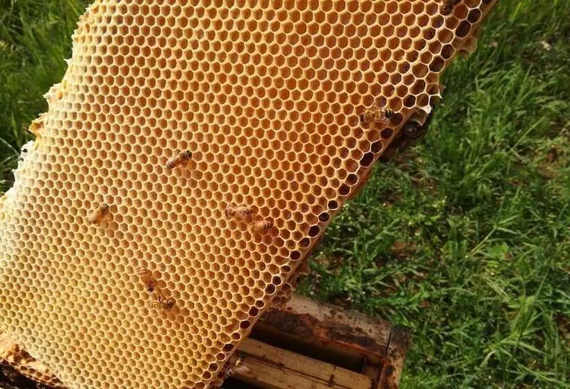 ホテル Agriturismo La Biandrina