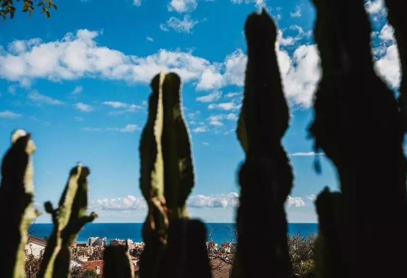 ホテル Agriturismo Rose Di Pietra