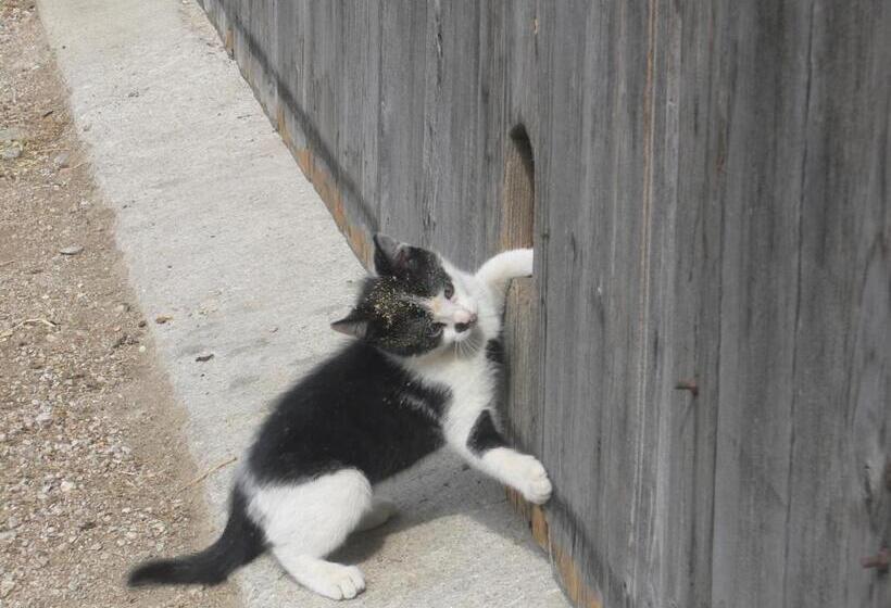 호텔 Ferienwohnungen Bulandhof