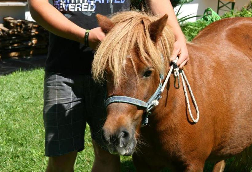 호텔 Ferienwohnungen Bulandhof