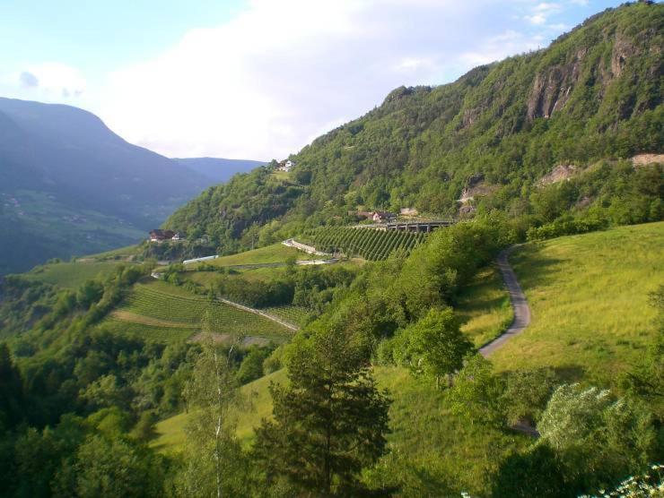 בית מלון כפרי Schiedhof