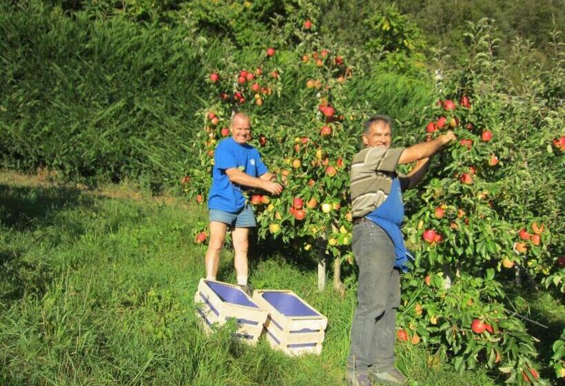בית מלון כפרי Schiedhof