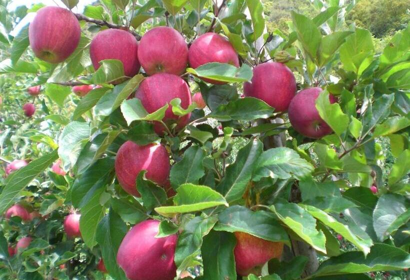 בית מלון כפרי Schiedhof