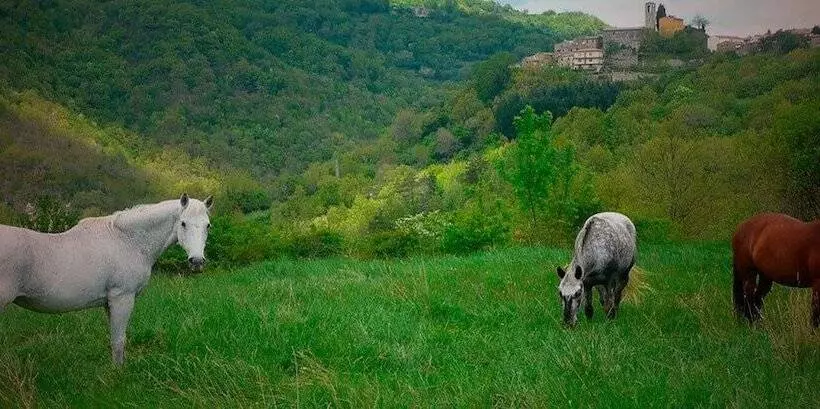 Hotelli Agriturismo Colli Di Travale