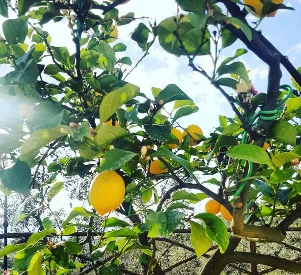 هتل Agriturismo La Casuccia