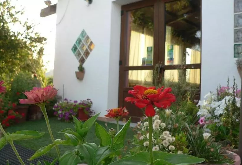 هتل Agriturismo Sa Tanca Noa