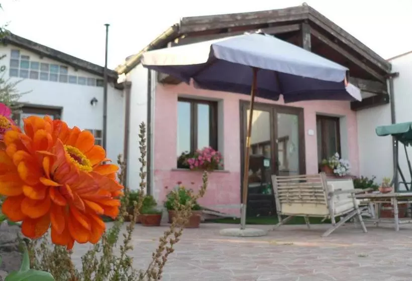 هتل Agriturismo Sa Tanca Noa