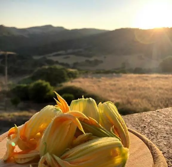 هتل Agriturismo Sa Tanca Noa