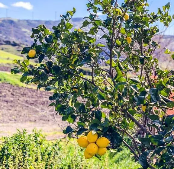 هتل Agriturismo Sa Tanca Noa