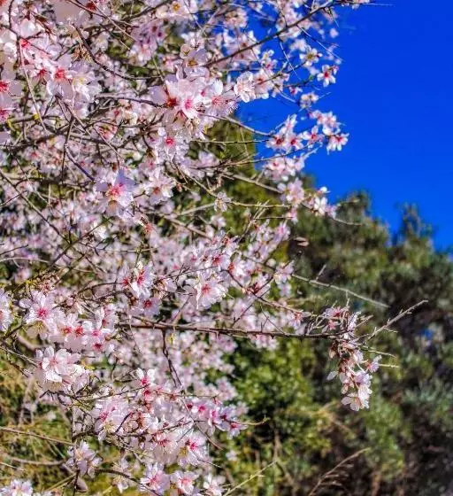 هتل Agriturismo Sa Tanca Noa