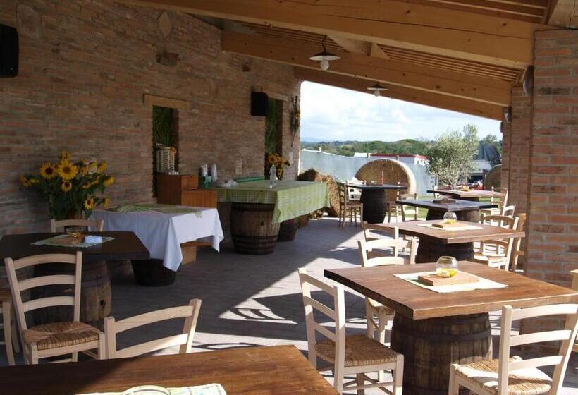 酒店 Azienda Agrituristica Il Poggetto Delle Spighe
