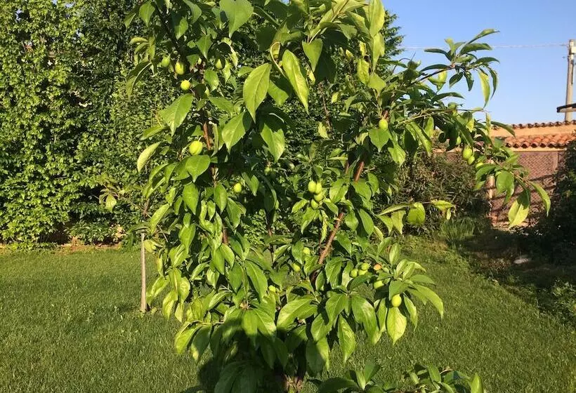 Hotelli Corte Breda, Agriturismo Bed&breakfast