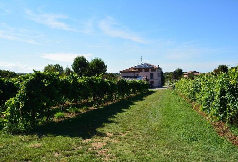 בית מלון כפרי Le Stanze Di Bacco