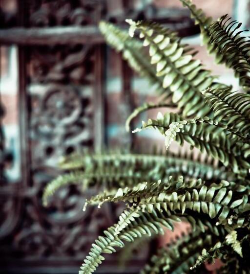 Pensjonat Borgo Manzoni   Charming House