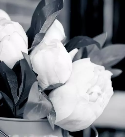 Majatalo Borgo Manzoni   Charming House