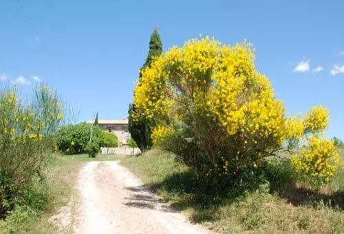 Hotel Agriturismo Montecchio