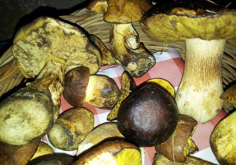 ホテル Casale Margherita Turismo Rurale