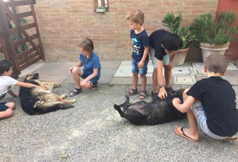 酒店 L Alpenice Bioagriturismo