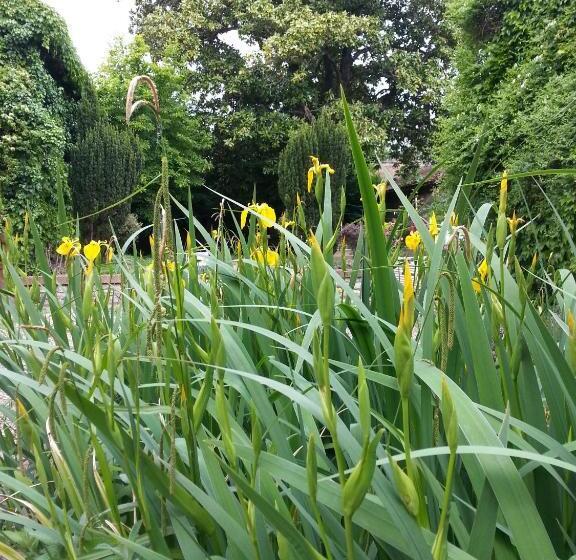 بنسيون La Cour Verte
