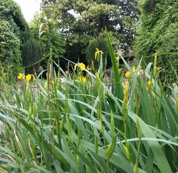 Majatalo La Cour Verte