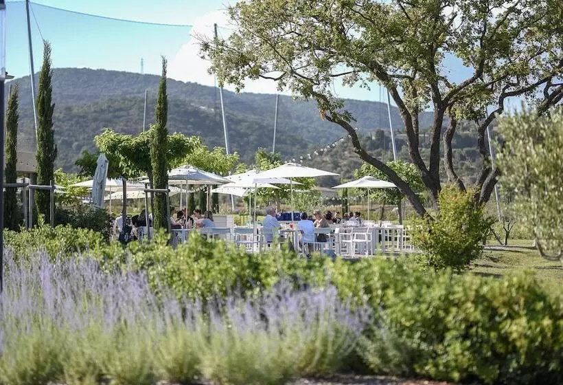 Le Clos Des Oliviers