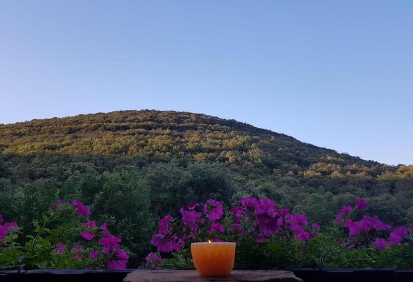بنسيون Les Jardins De Valaurie