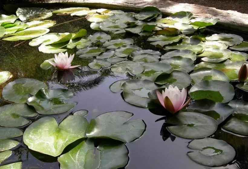 ペンション Campagne Beausoleil