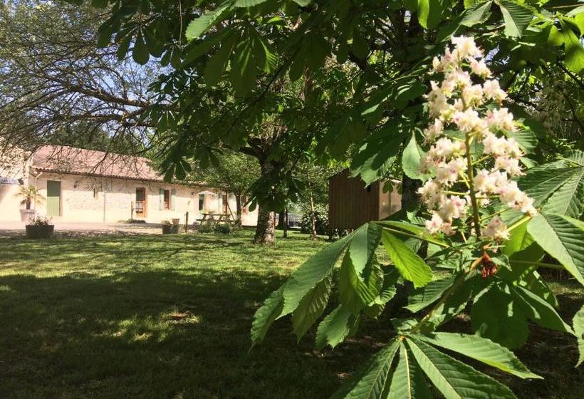 פנסיון Chateau Haut Baron