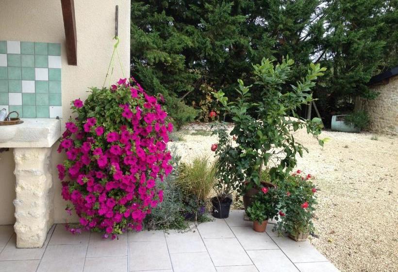 פנסיון Chateau Haut Baron